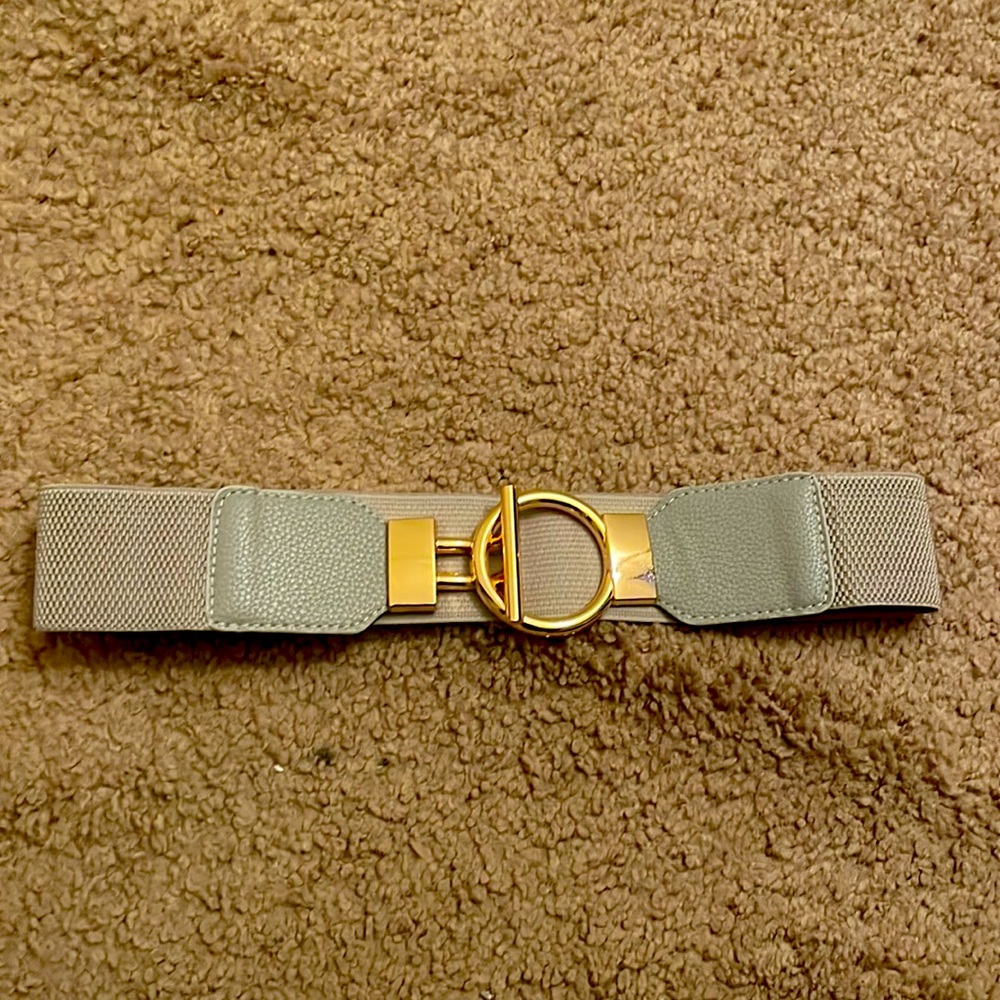 Cute gray and gold belt
